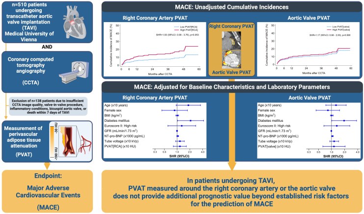 Quantification of perivascular adipose tissue attenuation does not add incremental prognostic value in patients undergoing transcatheter aortic valve implantation.