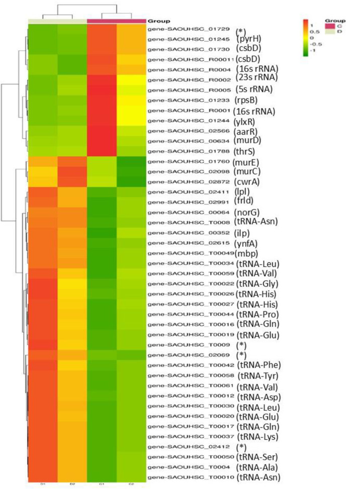 Insights into global transcriptomic profile of biofilm producing <i>Staphylococcus aureus</i> clinical isolates from chronic foot ulcers.