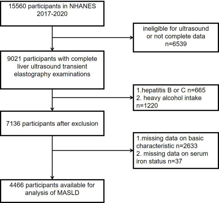 Association of serum iron status with MASLD and liver fibrosis.