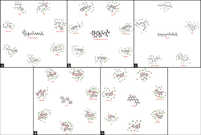 Multitarget-based <i>in silico</i> screening from phytoactive compounds of <i>Garcinia linii</i> fighting toward severe acute respiratory syndrome coronavirus-2.