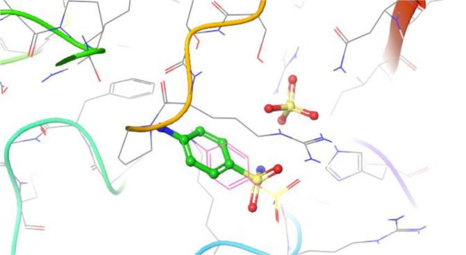Synthesis, structural studies, and inhibitory potential of selected sulfonamide analogues: insights from in silico and in vitro analyses.