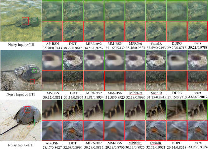 Wild horseshoe crab image denoising based on CNN-transformer architecture.