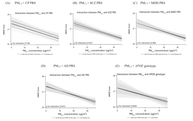 The independent role of fine particulate matter and genetic liability on cognition in older adults.