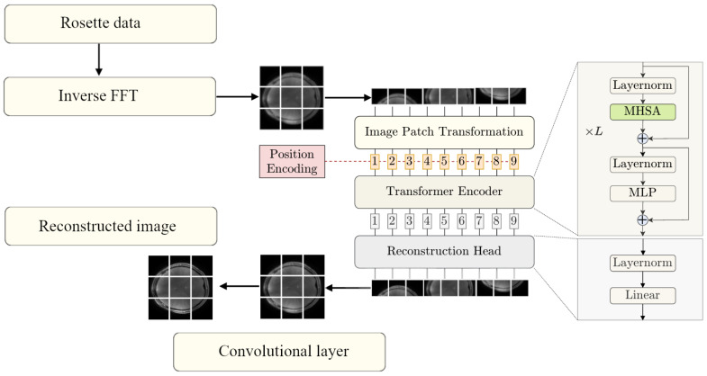 Rosette Trajectory MRI Reconstruction with Vision Transformers.