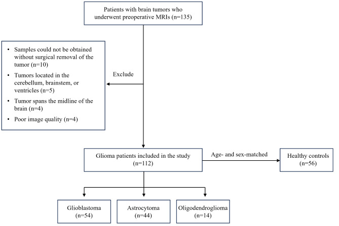 Glymphatic system dysfunction and cerebrospinal fluid retention in gliomas: evidence from perivascular space diffusion and volumetric analysis.