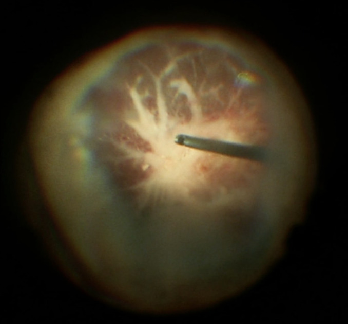 Abstract Image