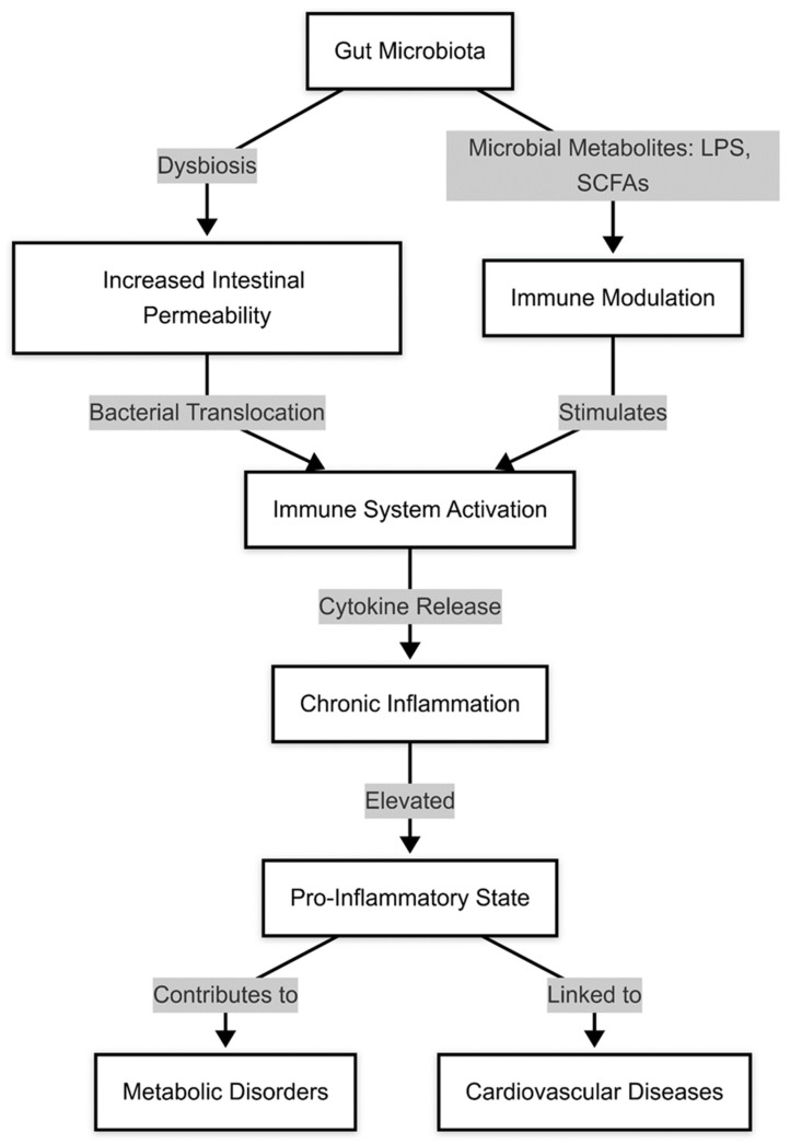 The Role of the Gut Microbiota in Heart Failure: Pathophysiological Insights and Future Perspectives.