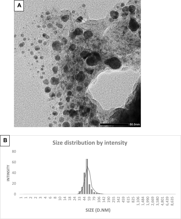 Synthesis of novel MgO-ZnO nanocomposite using Pluchea indica leaf extract and study of their biological activities.