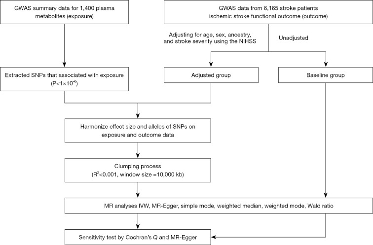 Investigating the causal relationship between genetically determined metabolites and ischemic stroke functional outcomes: a Mendelian randomization study.