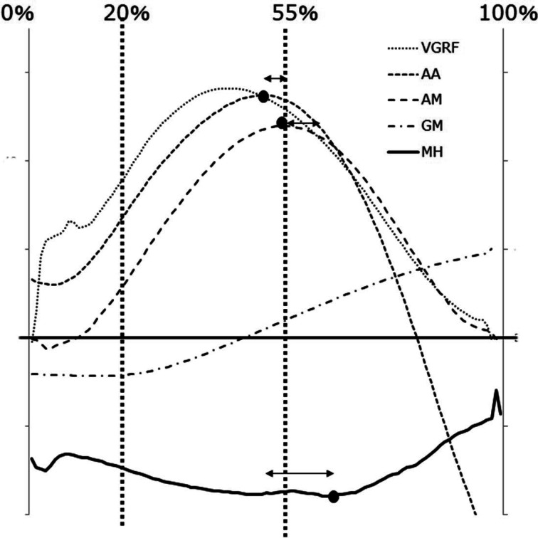 Morphological analysis of the windlass mechanism during running.