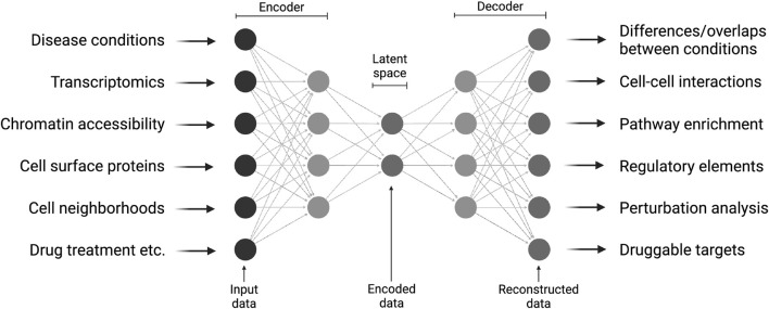 Primer on machine learning applications in brain immunology.