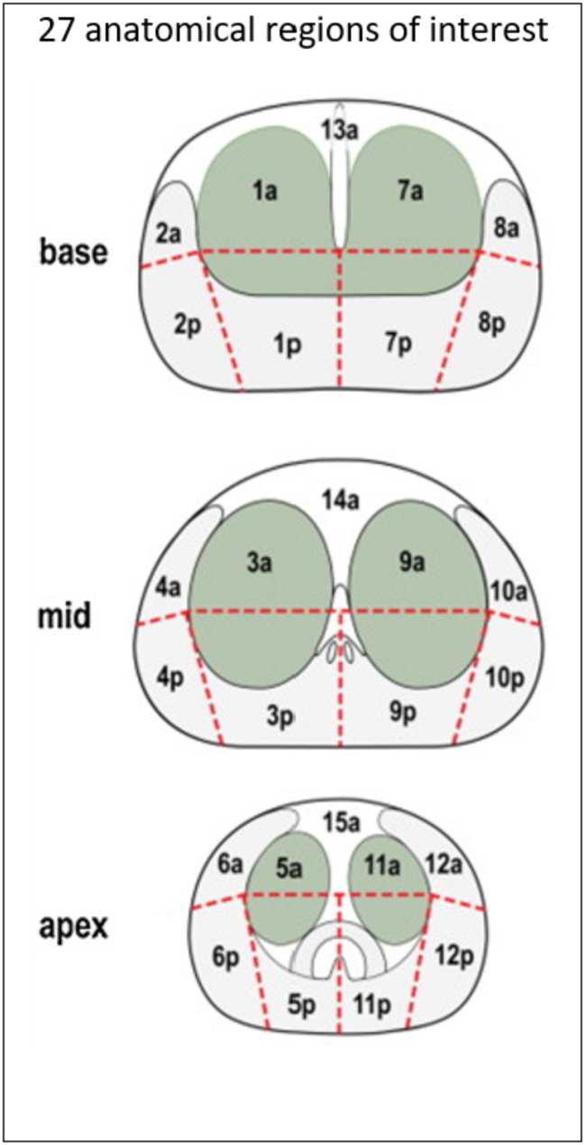 Evaluation of 3D ARFI imaging of prostate cancer: diagnostic reliability and concordance with MpMRI.