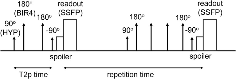 Imaging of <sup>17</sup>O-labeled Water Using Fast T2 Mapping with T2-preparation: A Phantom Study.
