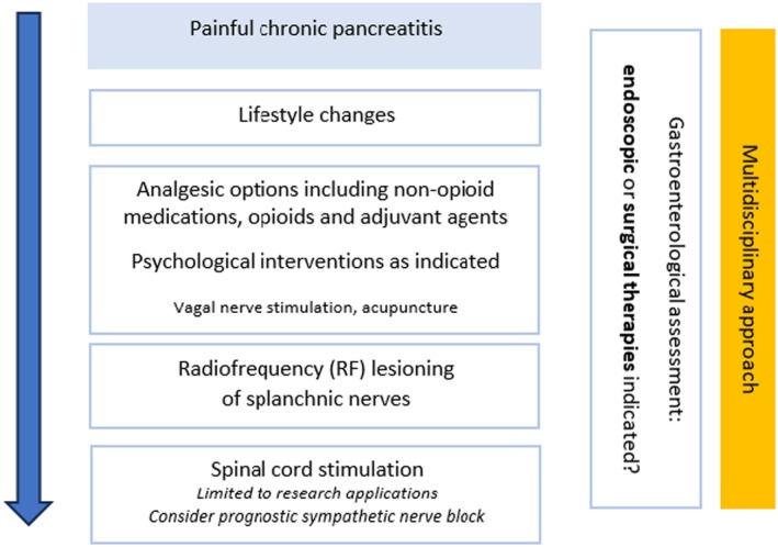16. Pain in chronic pancreatitis.