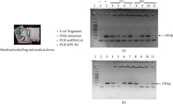 Innovative Noninvasive HPV Screening Using a Feminine Pad: A Pilot Study for Enhanced Cervical Cancer Detection.