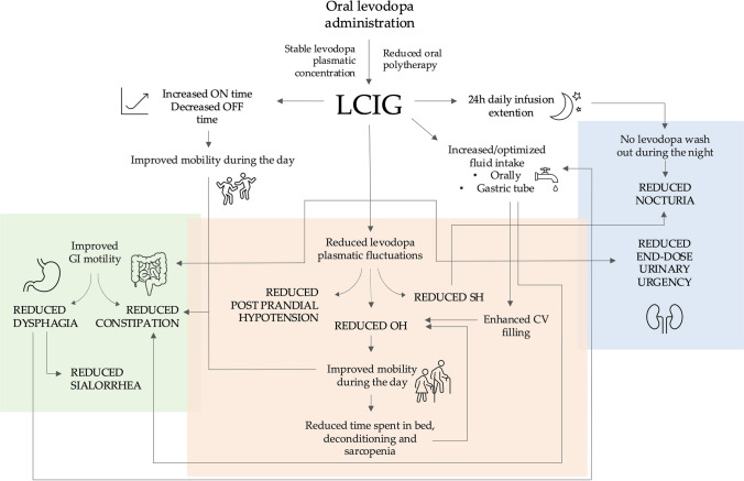 Effects of levodopa/carbidopa intestinal gel infusion on autonomic symptoms in advanced Parkinson's disease: a systematic review.