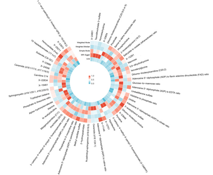 Investigating the causal relationship between genetically determined metabolites and ischemic stroke functional outcomes: a Mendelian randomization study.