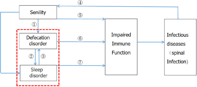 Senility, defecation disorders, sleep disorders, and non-operative spinal infections: A single-center retrospective analysis.