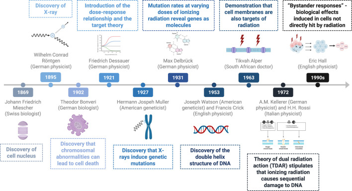 Historical view of the effects of radiation on cancer cells.