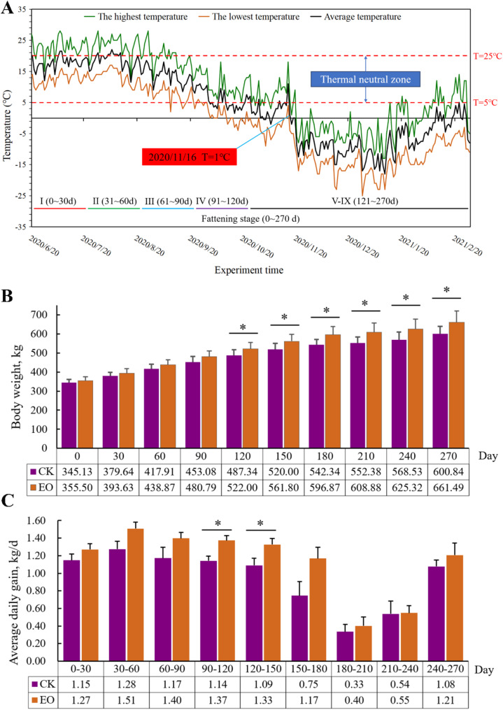 Oregano essential oil enhanced body weight and well-being by modulating the HPA axis and 23-nordeoxycholic acid of cecal microbiota in Holstein steers under cold stress.