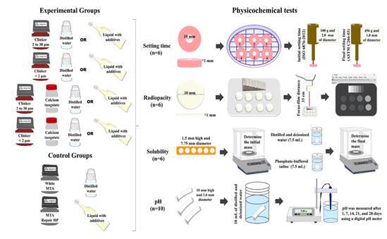 Influence of Bioceramic Clinker particle size, radiopacifier, and liquids on their physicochemical properties.