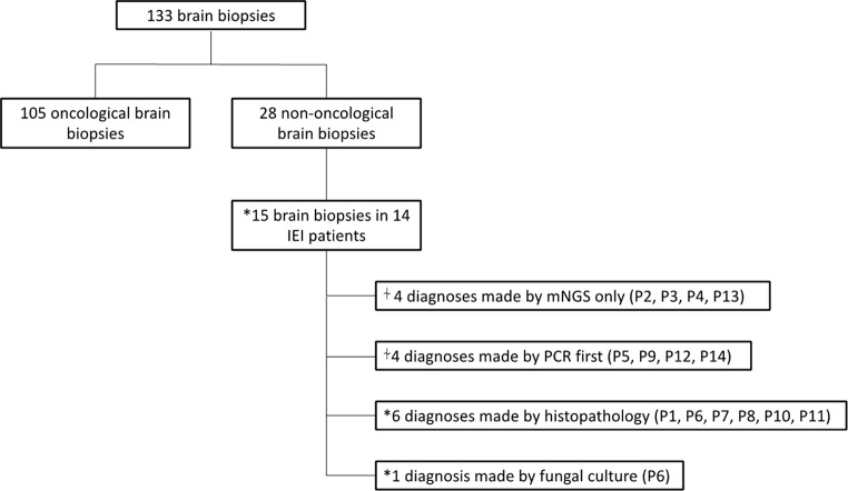 Safety and Diagnostic Utility of Brain Biopsy and Metagenomics in Decision-Making for Patients with Inborn Errors of Immunity (IEI) and Unexplained Neurological Manifestations.