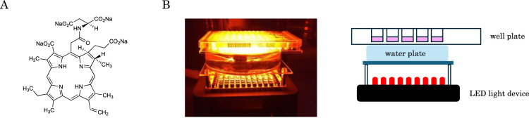 Non-Cytotoxic Photodynamic Therapy with Talaporfin Sodium Reduces the Expression of CXCR4 and Enhances Chemotherapeutic Efficacy in Undifferentiated Gastric Cancer Cell Line HGC27.