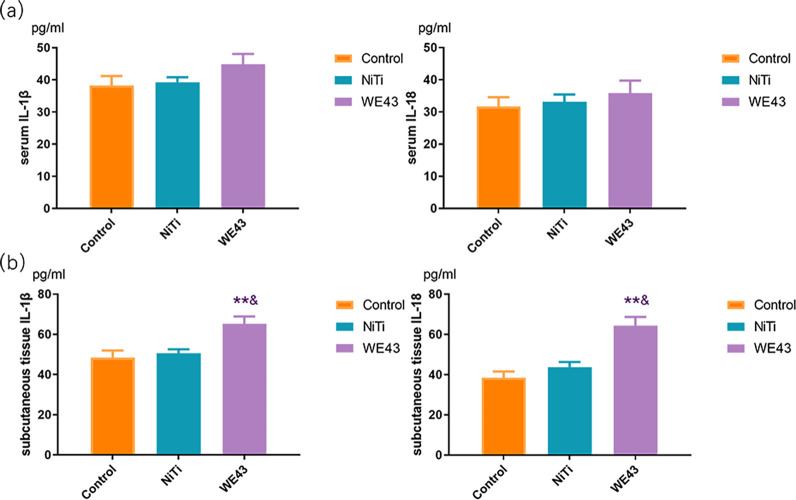 Degradation of WE43 Magnesium Alloy in Vivo and Its Degradation Products on Macrophages.