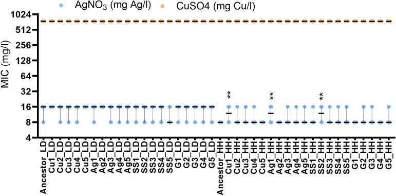 Experimental evolution of <i>Escherichia coli</i> on semi-dry silver, copper, stainless steel, and glass surfaces.