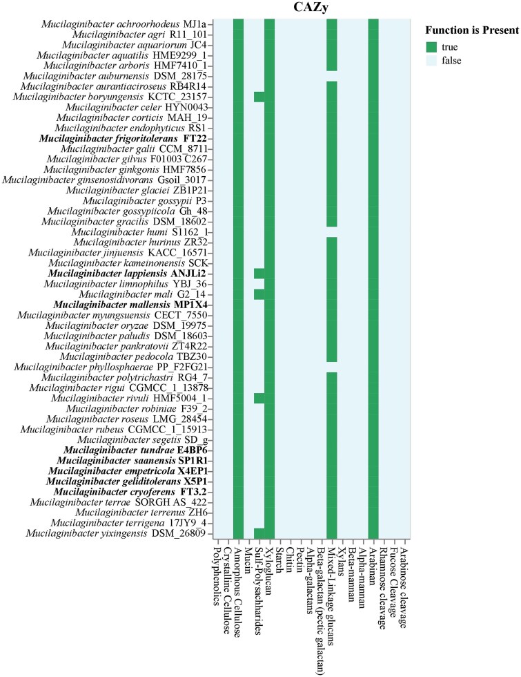 Genome analysis reveals diverse novel psychrotolerant <i>Mucilaginibacter</i> species in Arctic tundra soils.