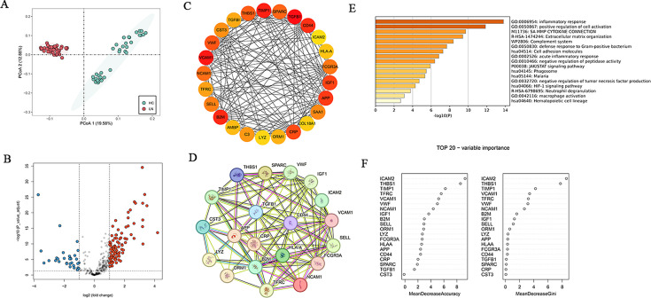 Proteomics uncovers ICAM2 (CD102) as a novel serum biomarker of proliferative lupus nephritis.