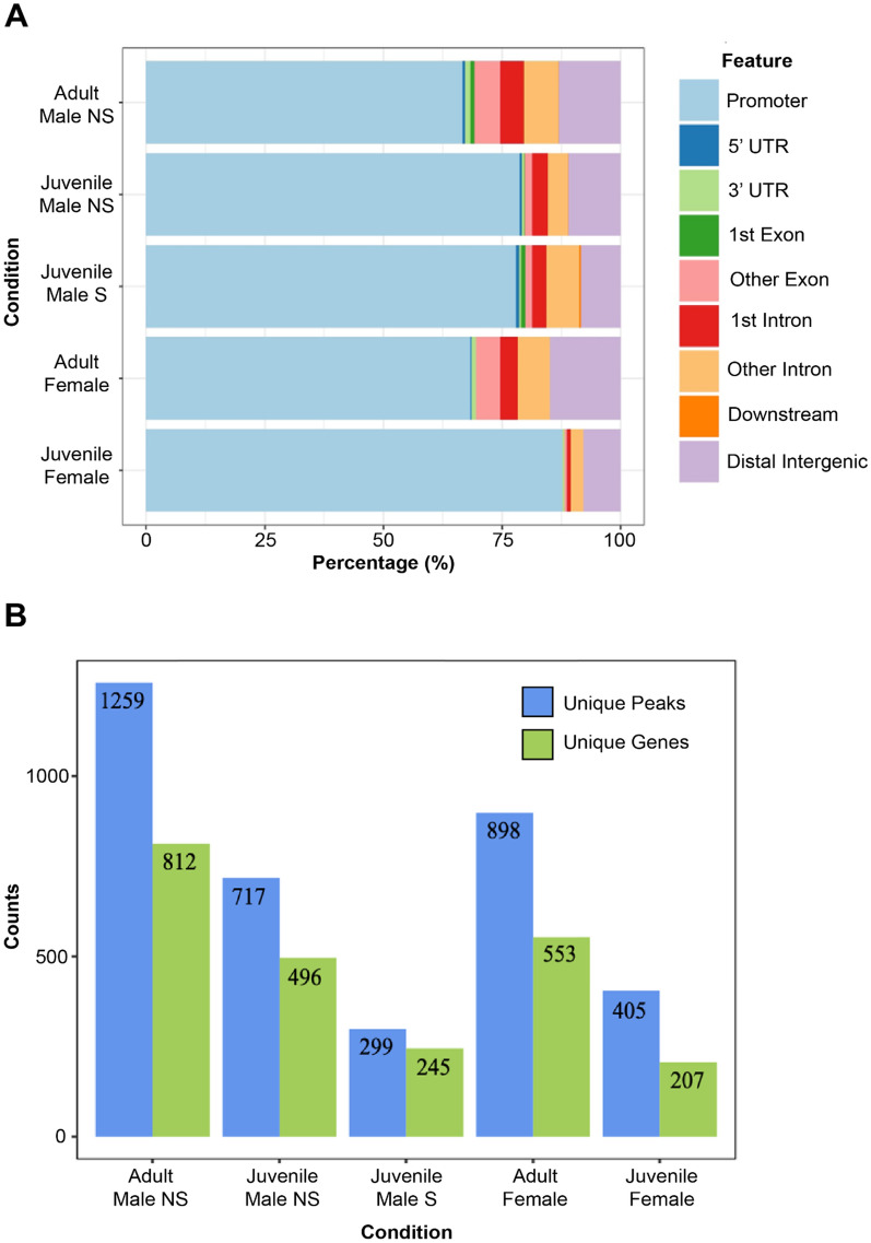 CHIRP-Seq: FOXP2 transcriptional targets in zebra finch brain include numerous speech and language-related genes.