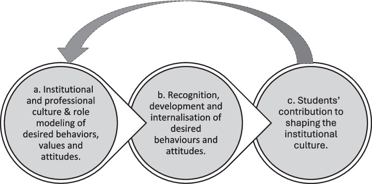 The Positive Influence of the Hidden Curriculum in Medical Education: A Scoping Review.