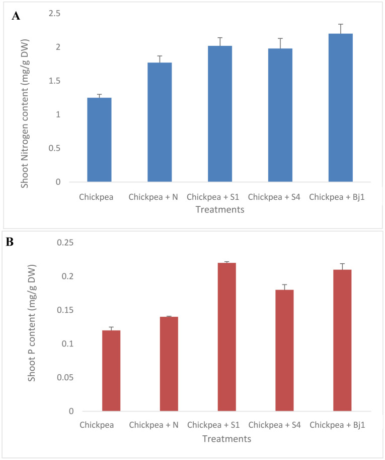 Combined inoculation of rhizobacteria with <i>Mesorhizobium</i> promotes growth, nutrient contents, and protects chickpea against <i>Fusarium redolens</i>.