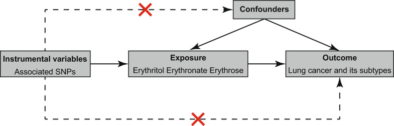 Association between erythritol and lung cancer: a two-sample Mendelian randomization study.