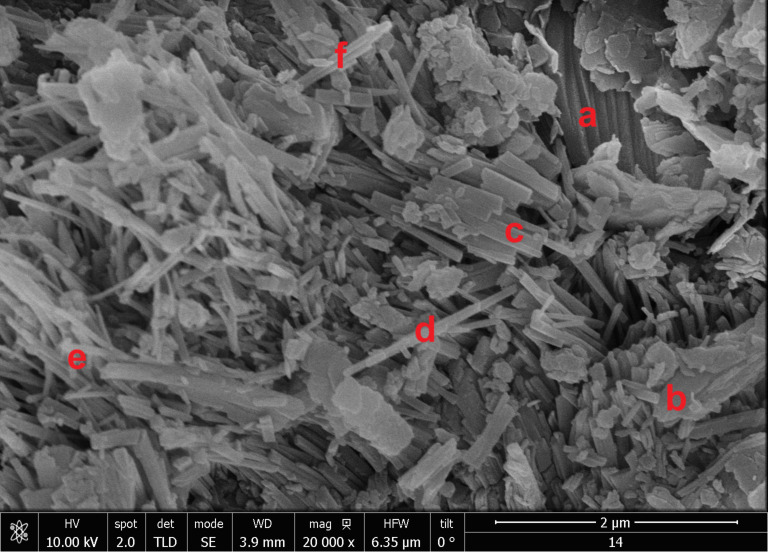 Zeolite materials with Ni and Co: synthesis and catalytic potential in the selective hydrogenation of citral.