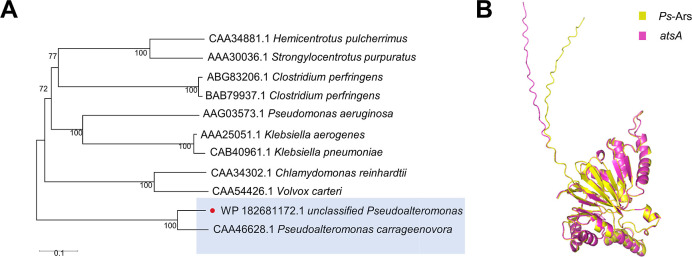 Mining Arylsulfatase from Genome-Scale Metabolic Pathways of Pseudoalteromonas sp. SR43-6 and Its Agar-Based Desulfurization Applications.