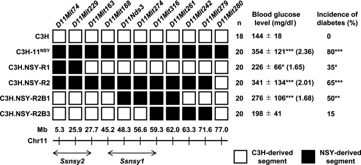 DNA repair protein RAD50 is involved in the streptozotocin-induced diabetes susceptibility of mice.
