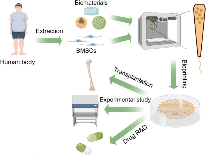 Advances in 3D-printed scaffold technologies for bone defect repair: materials, biomechanics, and clinical prospects.