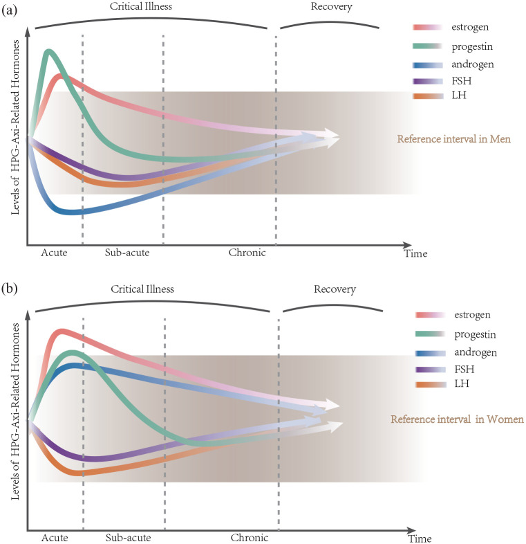Critical illness and sex hormones: response and impact of the hypothalamic-pituitary-gonadal axis.