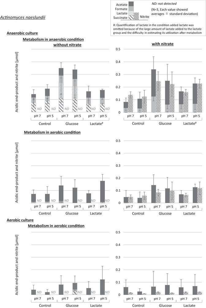 The Effect of Environmental Factors on the Nitrate and Nitrite Metabolism of Oral Actinomyces and Schaalia Species.