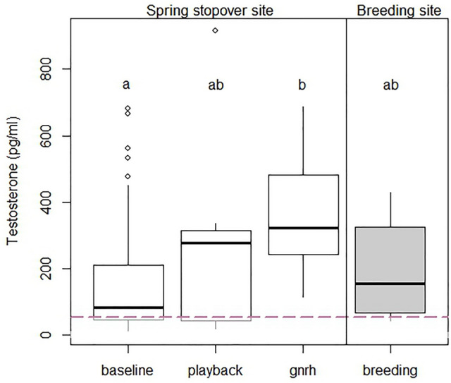 Testosterone dynamics of migratory birds during stopover.