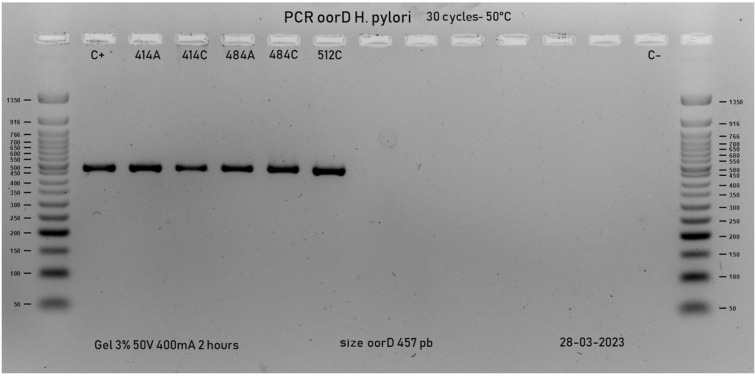 Furazolidone susceptibility of Helicobacter pylori isolated from patients with gastroduodenal diseases in Colombia.