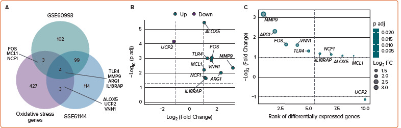 Oxidative Stress-related Gene Signature: A Prognostic Tool for Predicting Survival in ST-elevation MI.