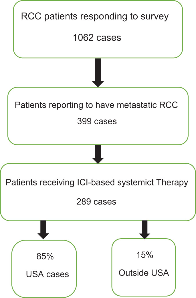 Patient Perspective on Medical Conditions Post Immune Checkpoint Therapy in Advanced Renal Carcinoma.