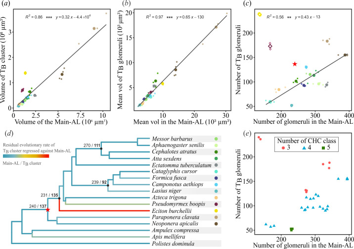 Ancestral complexity and constrained diversification of the ant olfactory system.