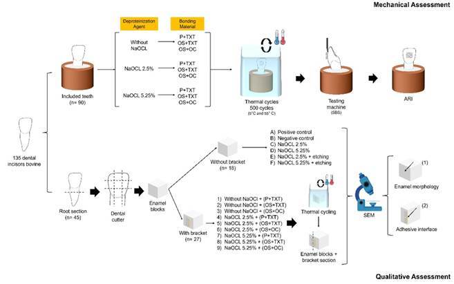 Enamel Deproteinization with Sodium Hypochlorite: Effects on Ceramic Bracket Bond Strength.