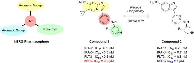 IRAK1/4/pan-FLT3 Kinase Inhibitors with Reduced hERG Block as Treatments for Acute Myeloid Leukemia.