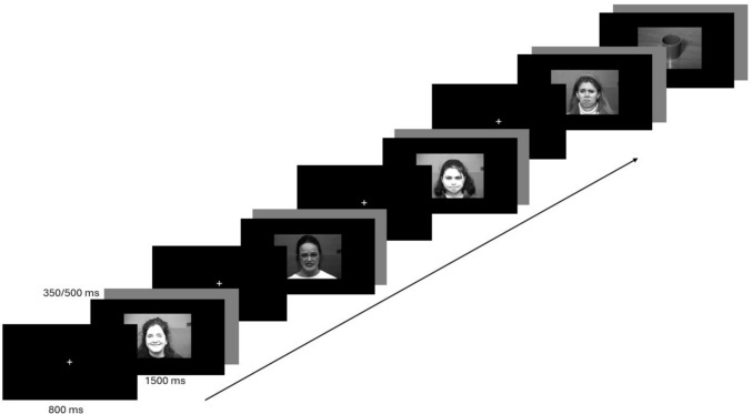 How psychological and descriptive narratives modulate the perception of facial emotional expressions: an event-related potentials (ERPs) study.