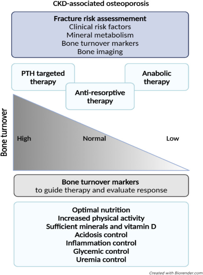 Update on the role of bone turnover markers in the diagnosis and management of osteoporosis: a consensus paper from The European Society for Clinical and Economic Aspects of Osteoporosis, Osteoarthritis and Musculoskeletal Diseases (ESCEO), International Osteoporosis Foundation (IOF), and International Federation of Clinical Chemistry and Laboratory Medicine (IFCC).